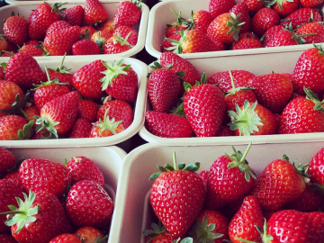 Strawberries