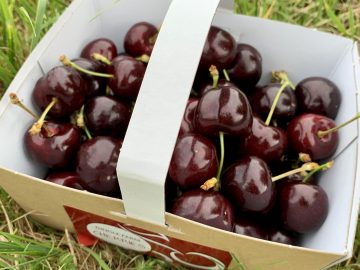 Cherries