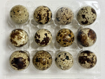 Twelve Quail eggs