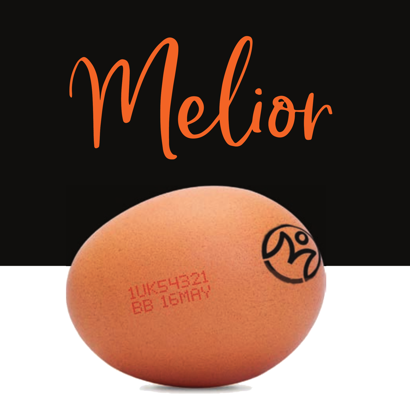 Mayfield Melior eggs